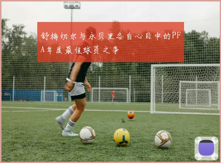 舒梅切尔与永贝里各自心目中的PFA年度最佳球员之争
