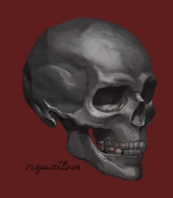 Headskull_v2